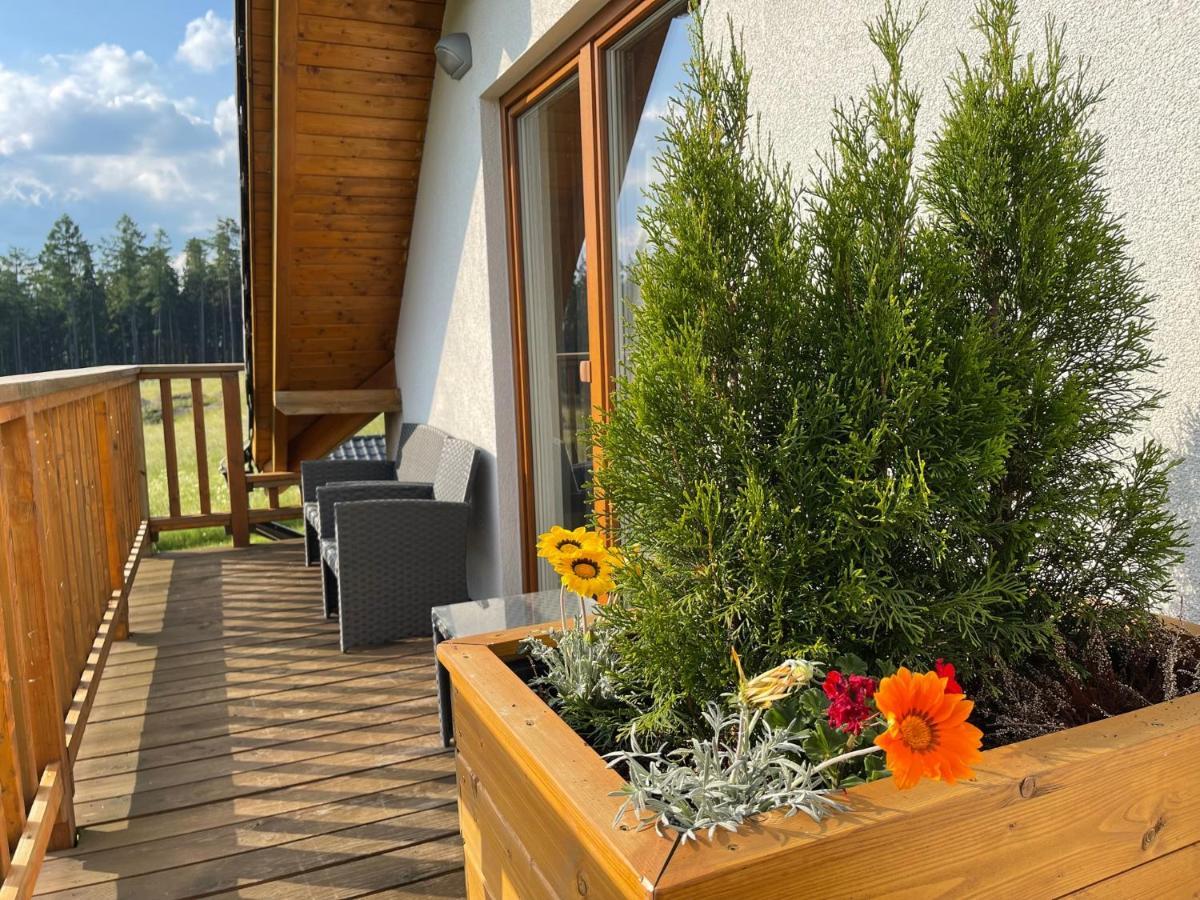 Apartmany Max Vaclavov u Bruntalu المظهر الخارجي الصورة